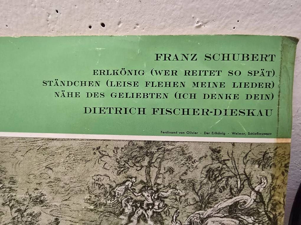 Dischi in vinile: Franz Schubert - Erlkönig – Usato da Heimberg venduto da Cpidu 2