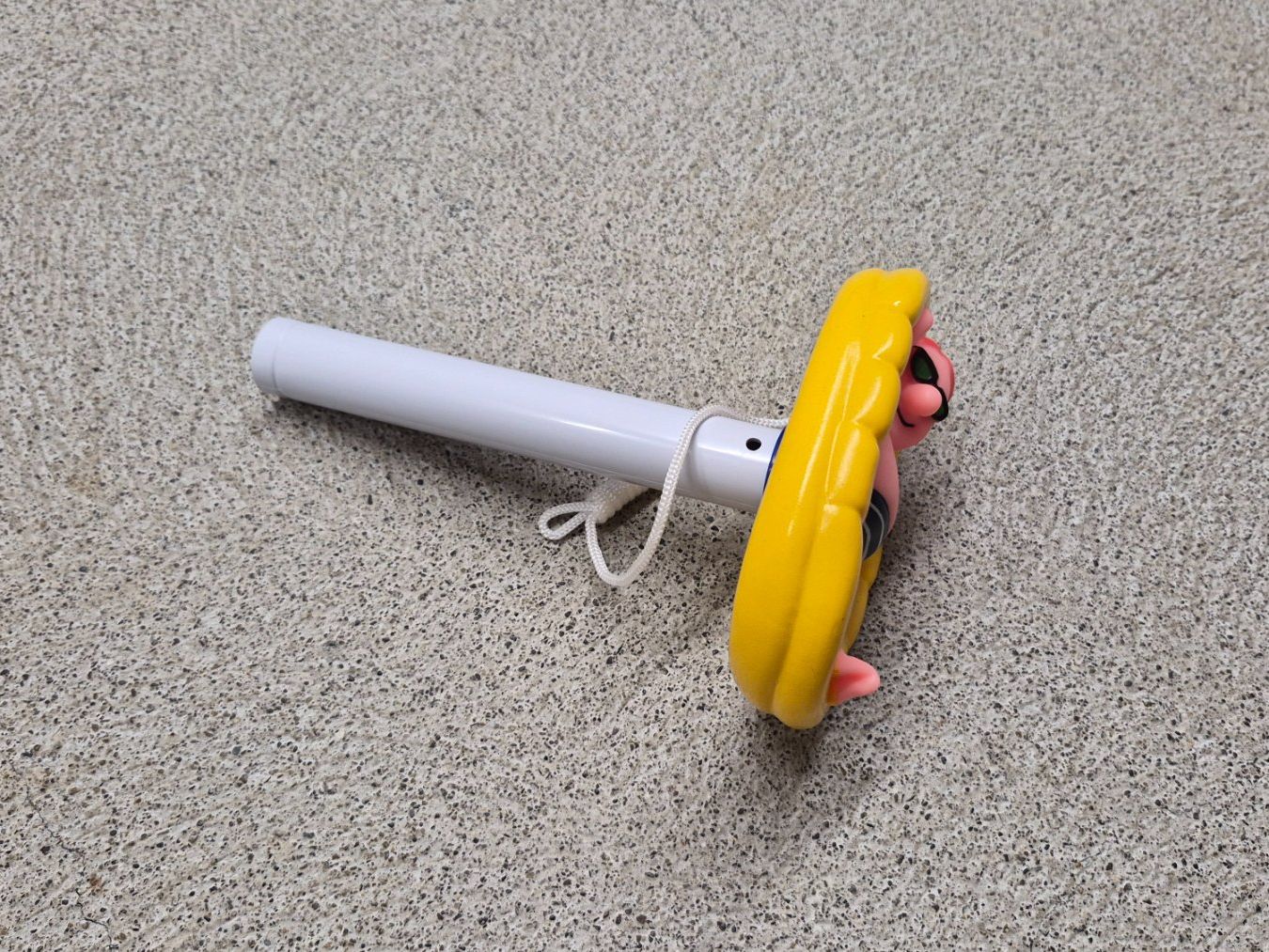 Autres articles pour la maison: Pool Schwimmbad Thermometer Hingucker Dekostück – Neuf (Voir description) à Wohlenschwil par Buly59 2