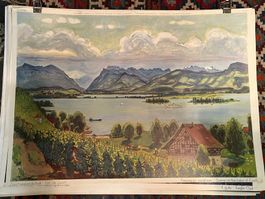 schulwandbild, zürich, zürichsee, landschaft