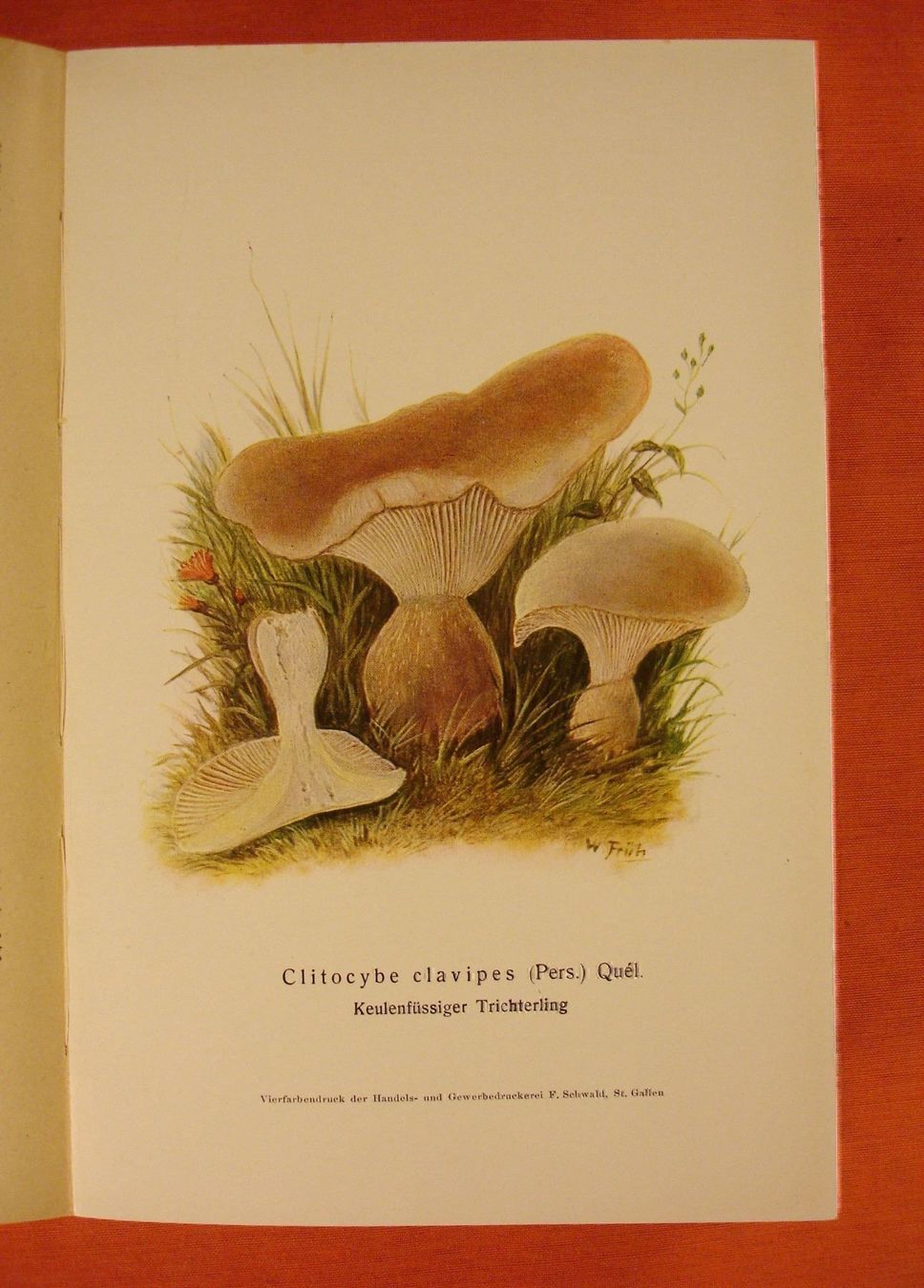 Libri: DIE TRICHTERLINGE, PILZE, 1926 – Usato da Grüningen venduto da Kartensammler 3
