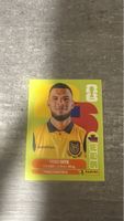 ECU 12 , FIFA WORLD CUP 2026 PANINI 