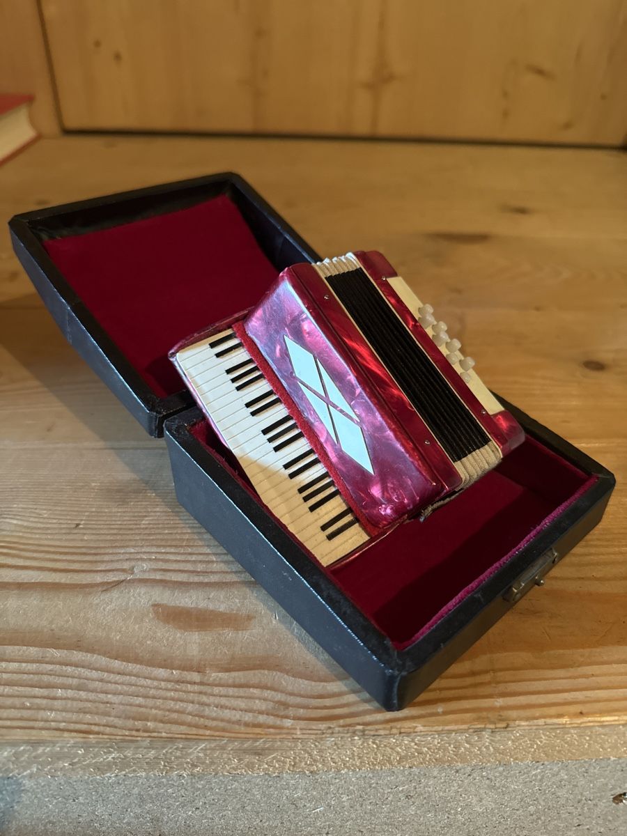 Strumenti musicali: Örgeli (Souvenir) – Usato da Bühler venduto da comaneci 1