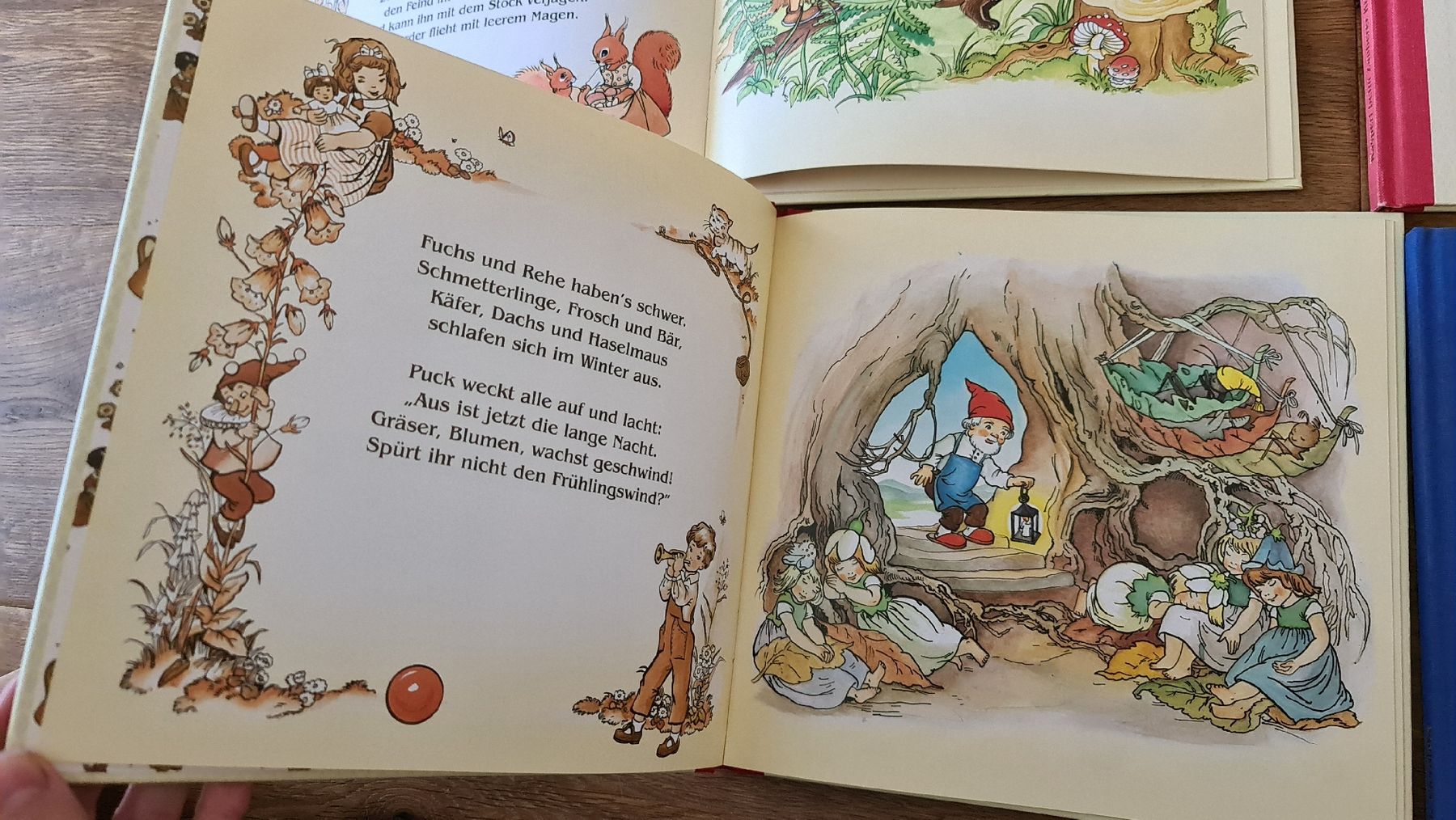 Bücher: kinderbücher set – Gebraucht aus Wittenbach von Tigerlili 2