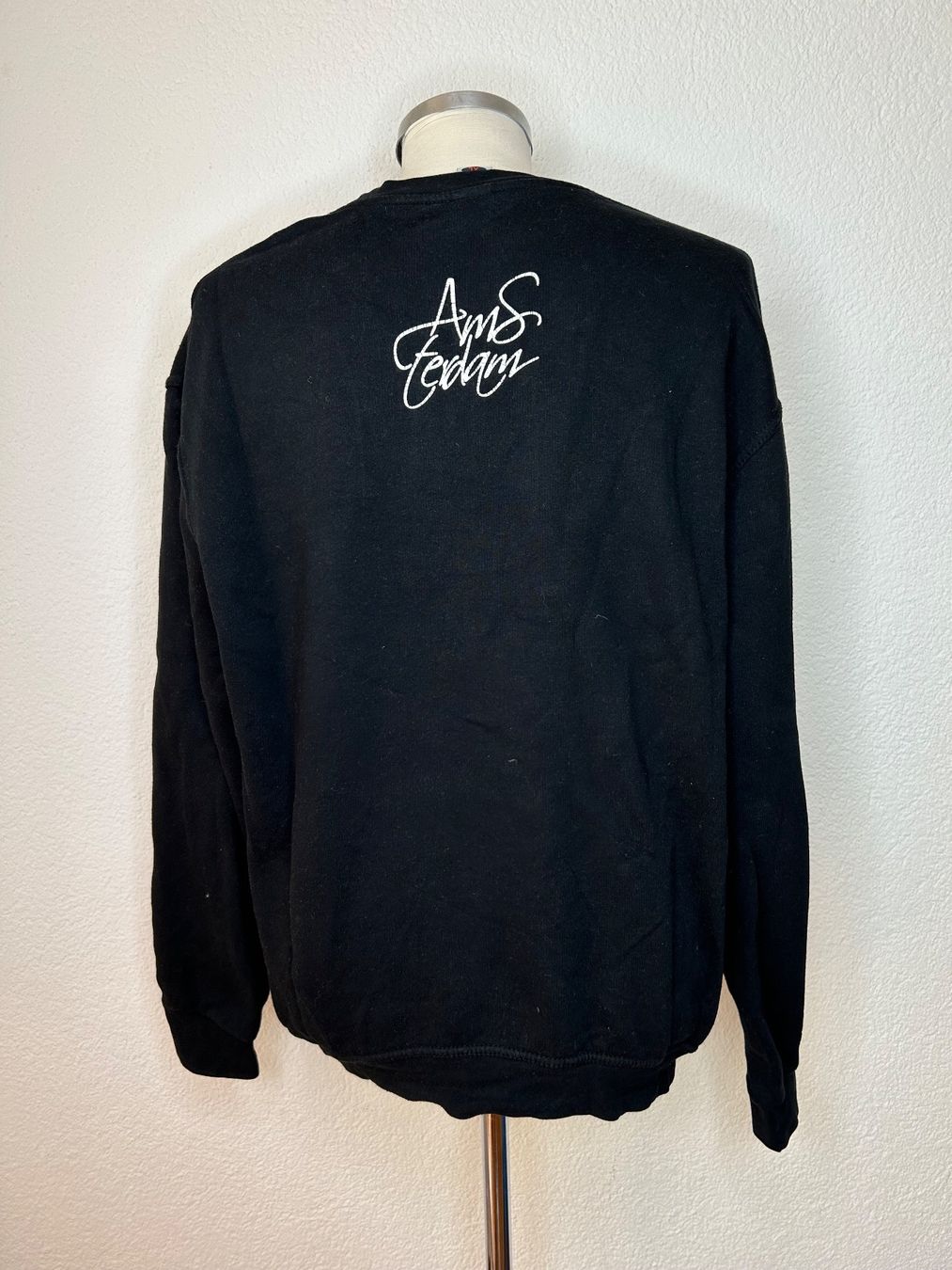 H&M Maglioni & Felpe: Amsterdam Sweatshirt – Usato da St. Gallen venduto da look-twice 2