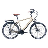 e-Bike Zenith Classic +