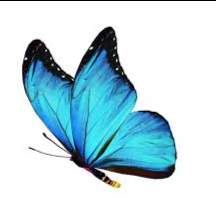 Profile image of Butterfly_95