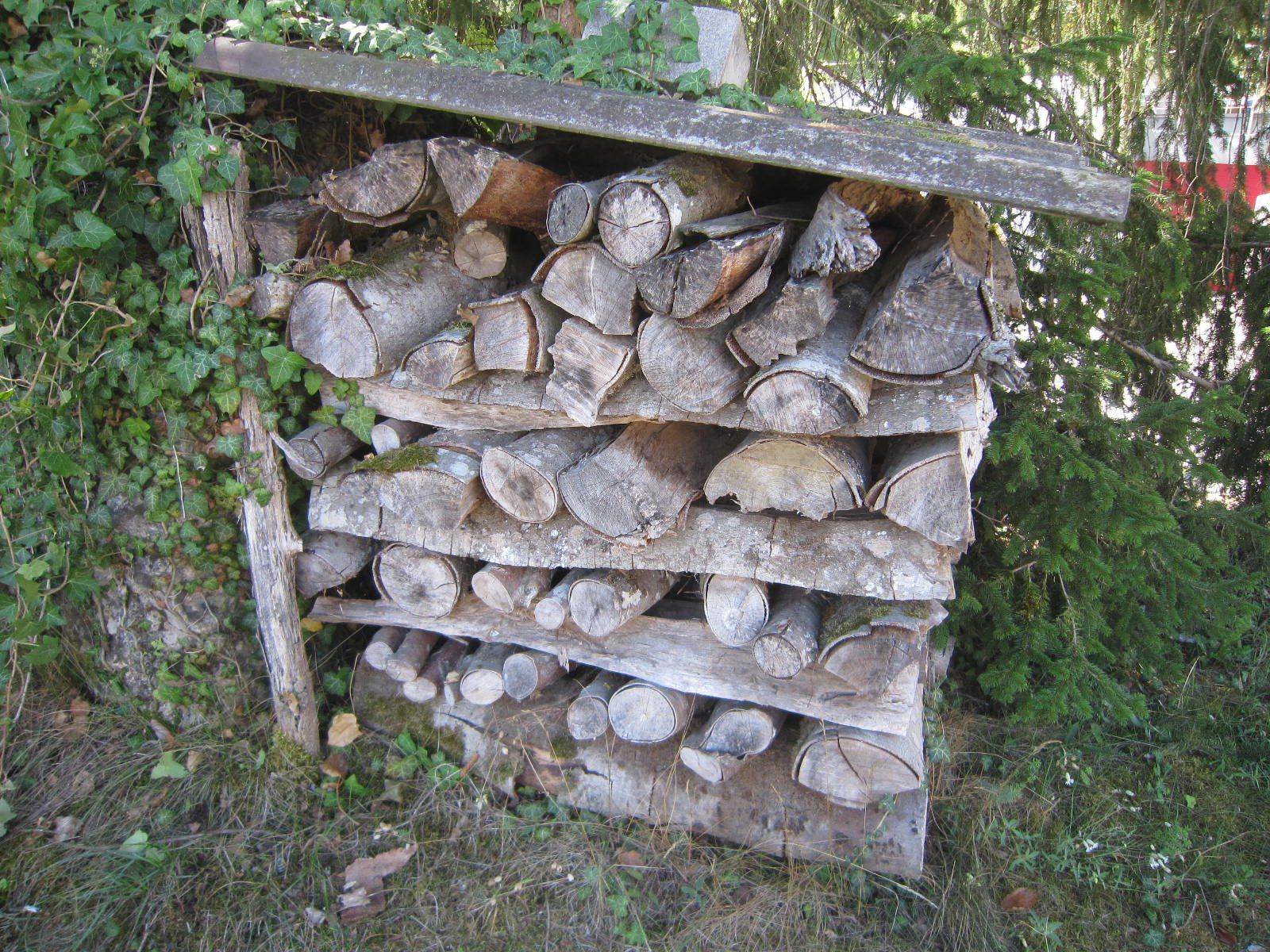 Articoli in legno: Brennholz Buche – Usato da Böttstein venduto da koehlerkafi 1