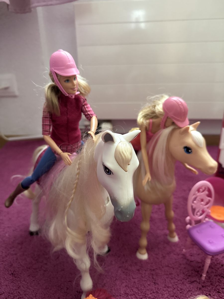 Giocattoli: Riessiges Barbiepaket – Usato da Schmerikon venduto da BiancaM03 1