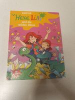 Kinderbuch Erstleser Hexe Lilli un die wilden Dinos