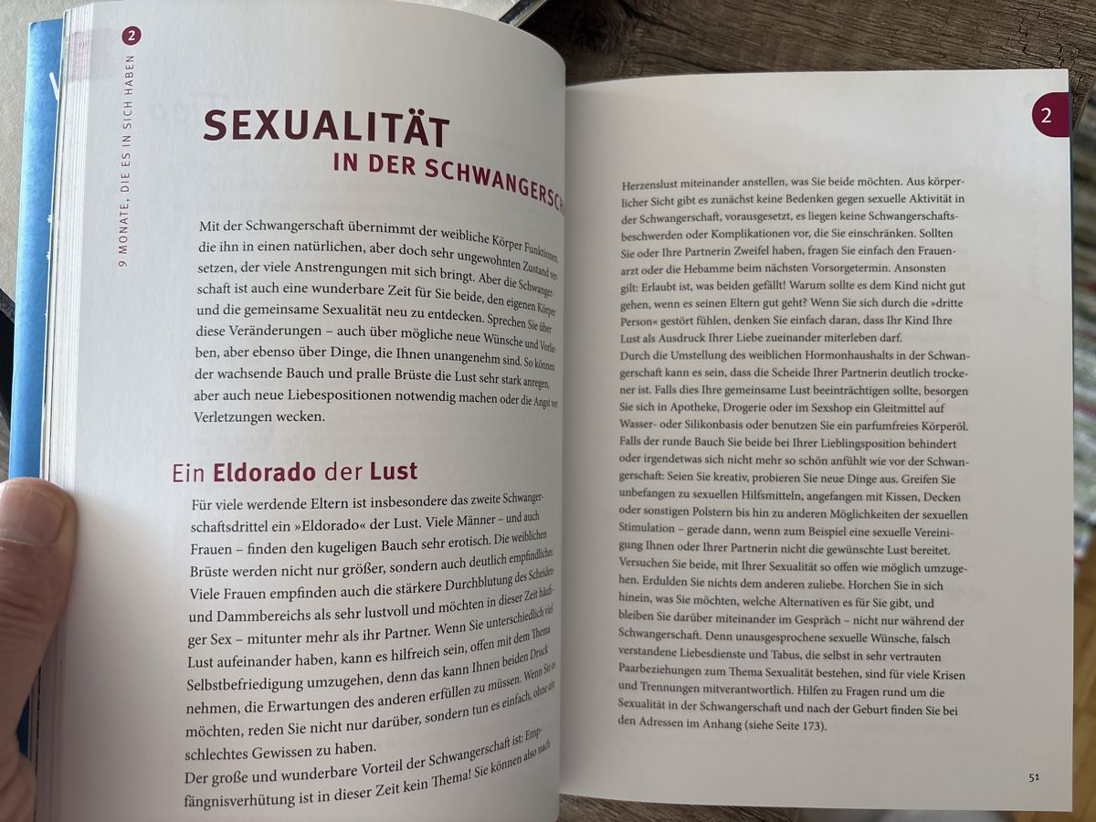 Livres: Das Papa Handbuch – Neuf (Voir description) à Schaffhausen par Reporter 2