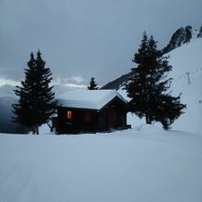 Profile image of meztiso