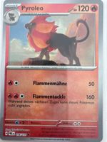 Pyroleo xPRE016 DE - Meisterball - Prismatische Entwicklunge