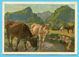 Pro Juventutekarte Nr. 175 - Bergbach mit Kühen, gest. Uster