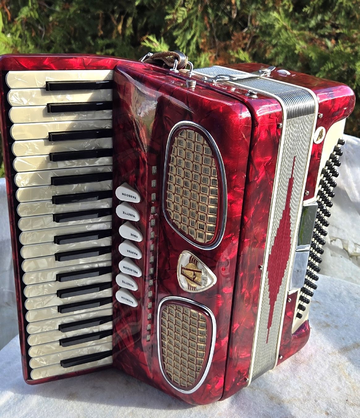 Excelsior Instruments de musique: Accordéon Excelsior  – D'occasion à Penthalaz par EvandroLuz 2