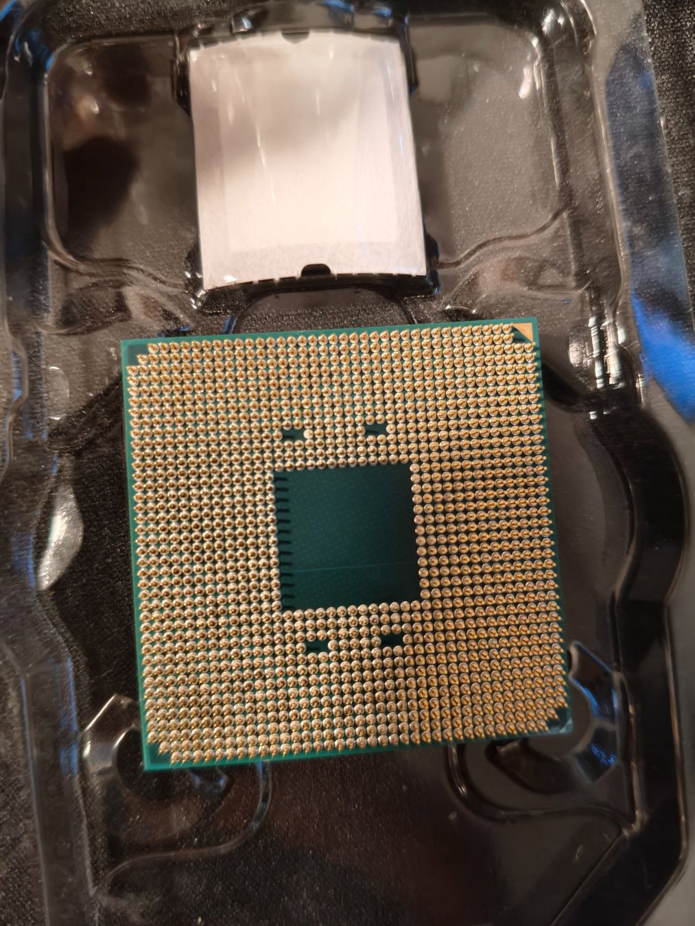 Amd PC: AMD Ryzen 5 5600X CPU (AM4)  – Usato da Dübendorf venduto da rcon 1
