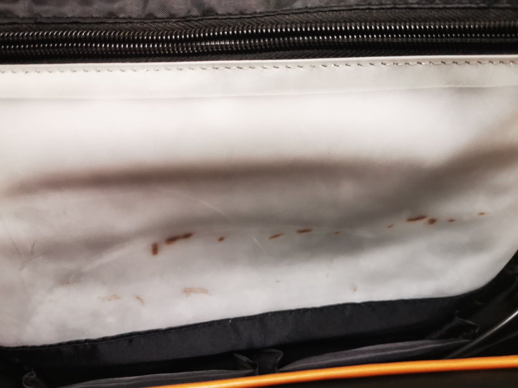 Nordace Zaini: Nordace Siena, Smart Rucksack – Usato da Winterthur venduto da Gian_Marco 9