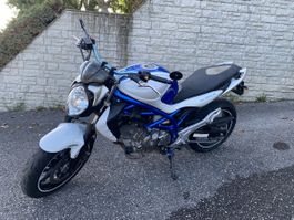 SUZUKI SFV 650 Gladius bleue et blanche