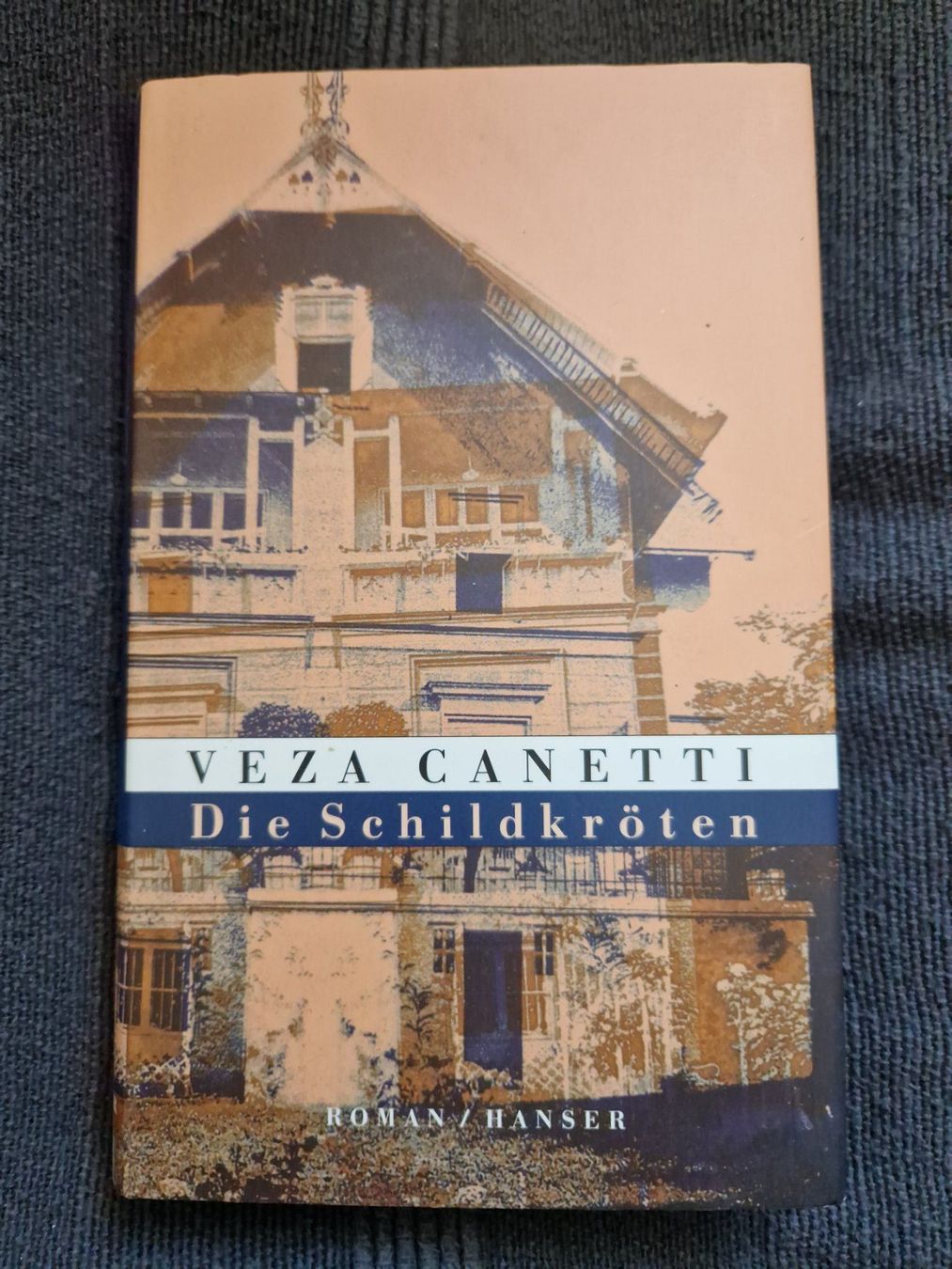 Libri: Veza Canetti - Die Schildkröten – Usato da Neuhausen am Rheinfall venduto da Alchimista
