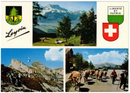 Leysin - 3 Bild AK