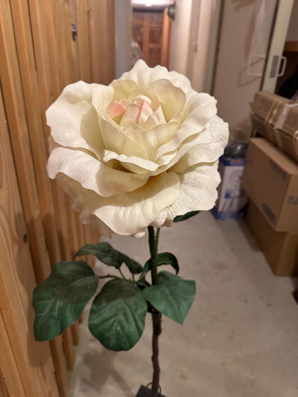 Ikea Tutte le decorazioni: Dekorative Rose in Cremeweissem Farbton – Nuovo (secondo la descrizione) da Zürich venduto da mar_mv5c