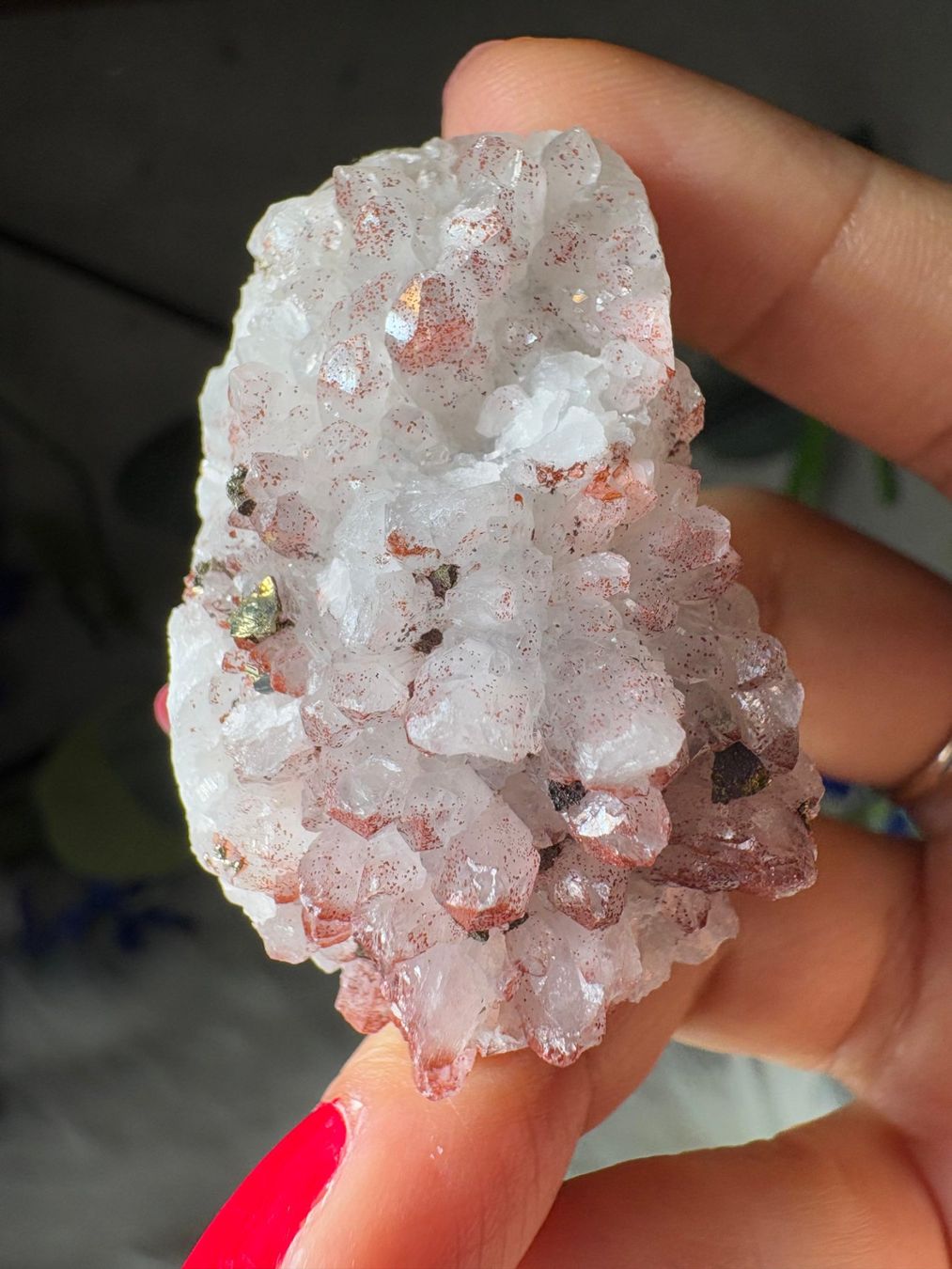 Minerali & Pietre curative: Pyrit auf rotem Quarz-Cluster – Nuovo e nell'imballaggio originale da Neuheim venduto da m.hald 3
