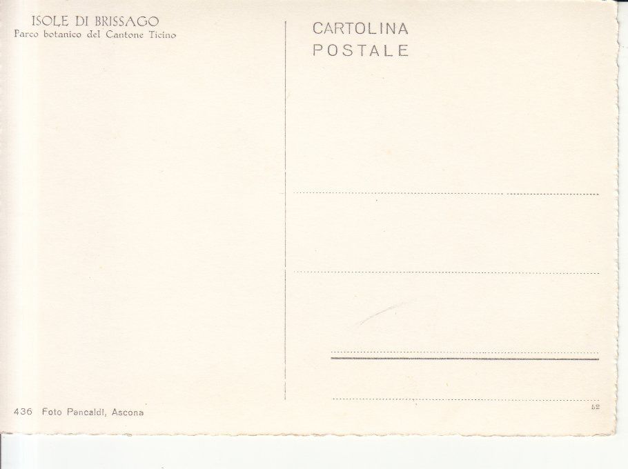 Cartoline postali: Brissago ca. 1950 – Usato da Bürglen TG venduto da StampGraf 1