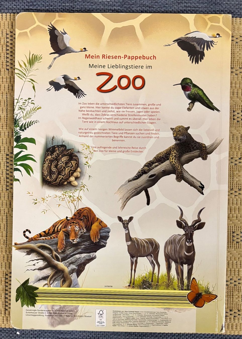 Libri: Mein Riesen-Pappebuch: Zoo! – Usato da Bottmingen venduto da ann_ys87 1