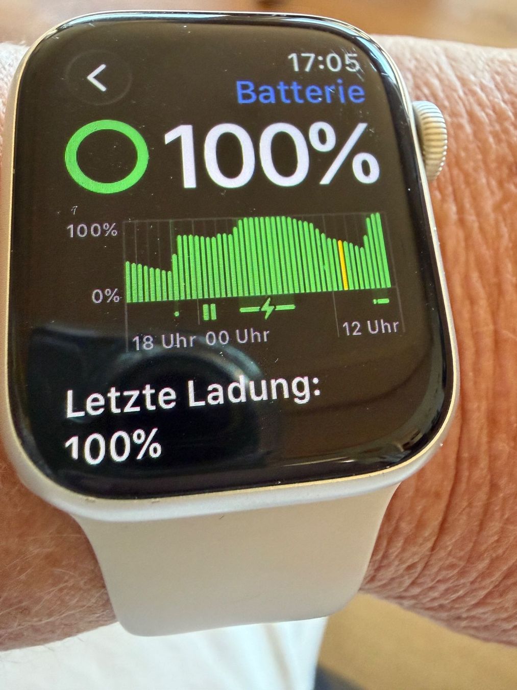Apple Smartwatch: Apple Watch Series 8 41mm silber – Usato da Trachslau venduto da RT_BRNN 6