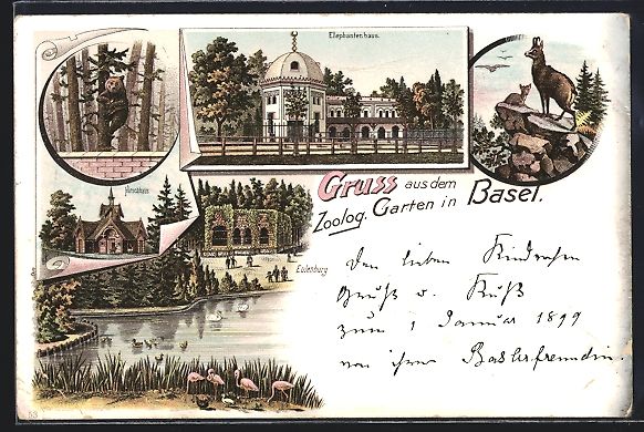 Ansichtskarten: Litho Basel, Zoologischer Garten, Elefan – Gebraucht aus Berlin von bartko-reher