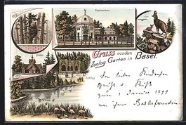 Litho Basel, Zoologischer Garten, Elefan