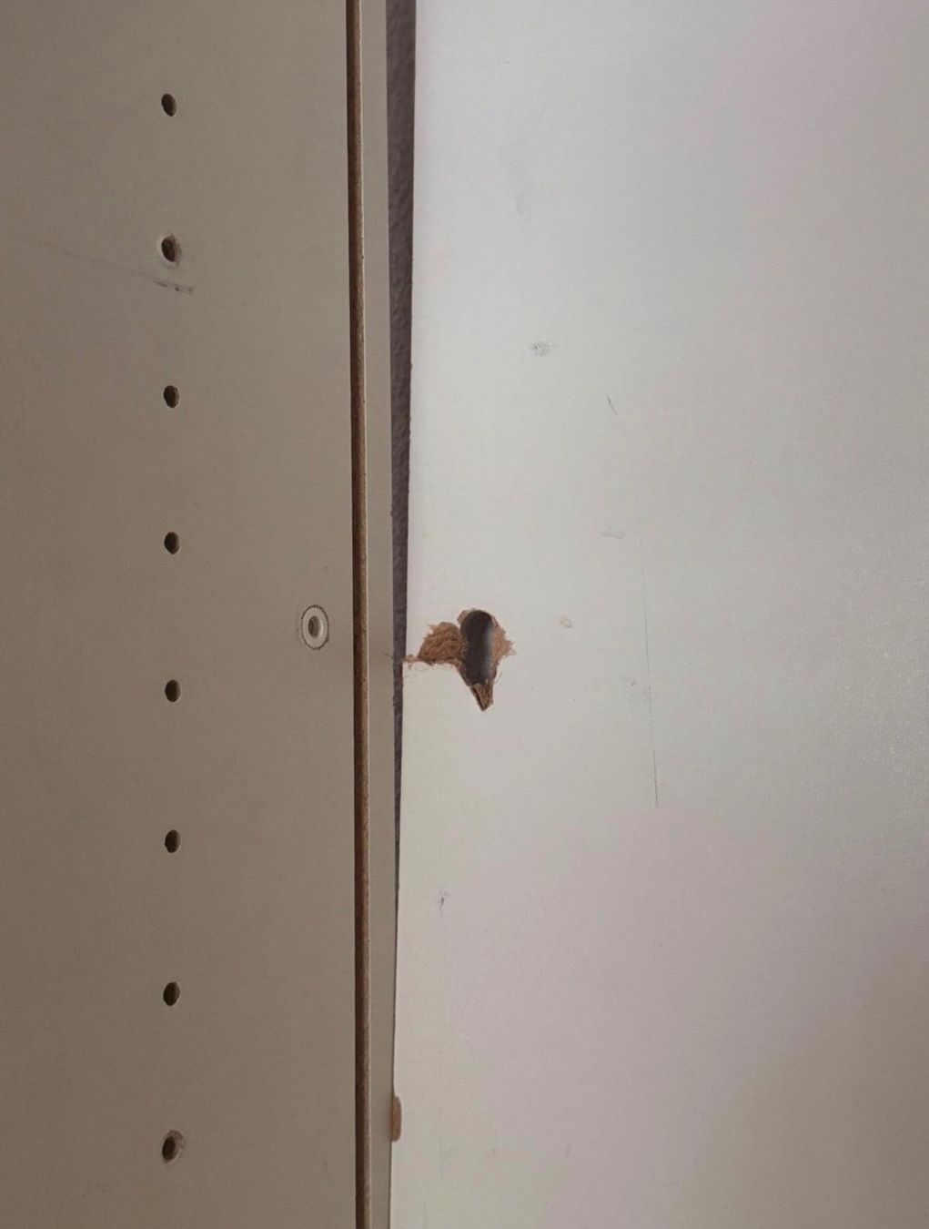 Armadi: Kleiderschrank – Usato da Baden venduto da psc_tbw2 9
