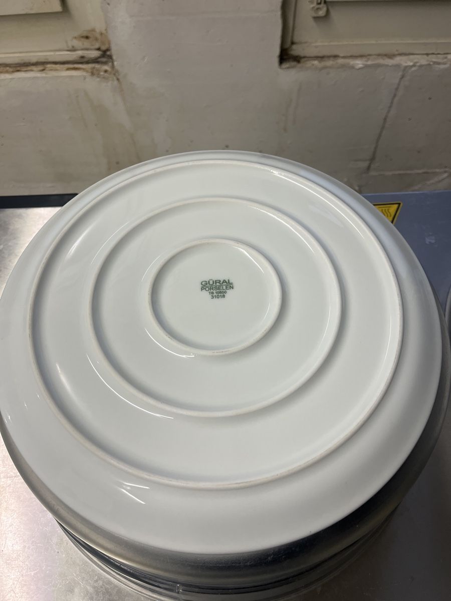 Piatti: 50 Pizza / Steak Teller 30 cm – Usato da Dittingen venduto da Cervolino77 1