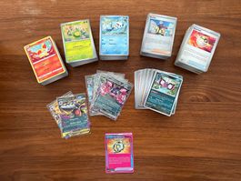 Pokémon TCG Sammlung, über 500 Karten