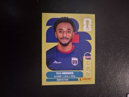Panini WM 26 CPV 17
