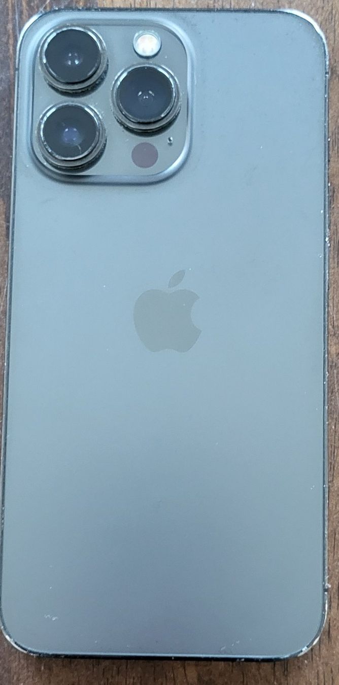 Apple Telefoni cellulari / Smartphones: Iphone 13 pro 256 GB – Usato da St Gallen venduto da sancassan