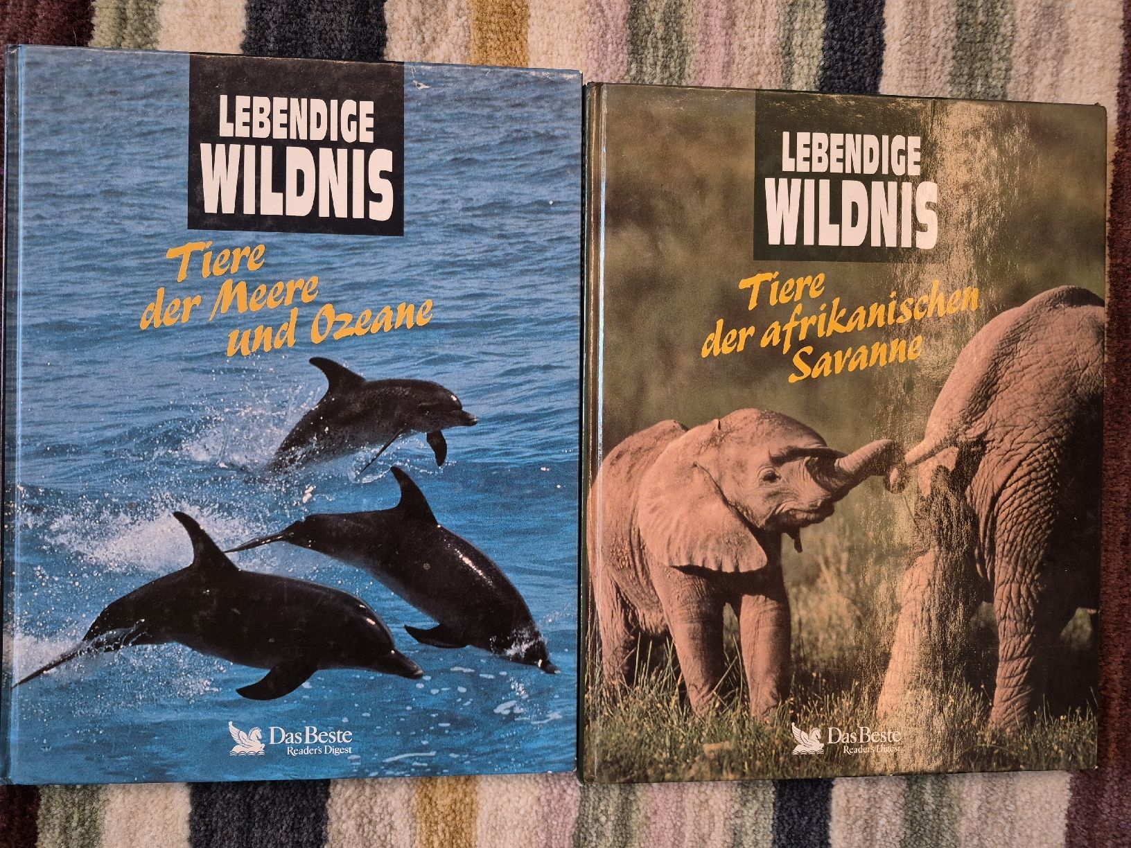 Libri: Lebendige Wildnis Savanne und Ozeane – Usato da Vordemwald venduto da Esel04