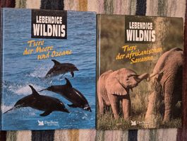 Lebendige Wildnis Savanne und Ozeane