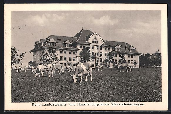 Cartoline postali: Schwand-Münsingen, Blick auf die Kant.  – Usato da Berlin venduto da bartko-reher