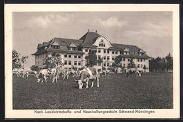 Schwand-Münsingen, Blick auf die Kant. 