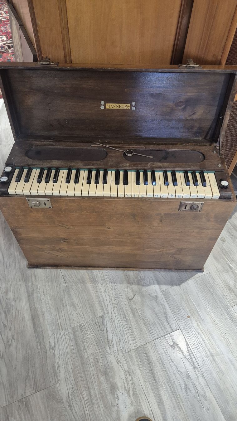 Strumenti musicali: Harmonium Mannborg zu Verkaufen – Usato da Rämismühle venduto da beni0010