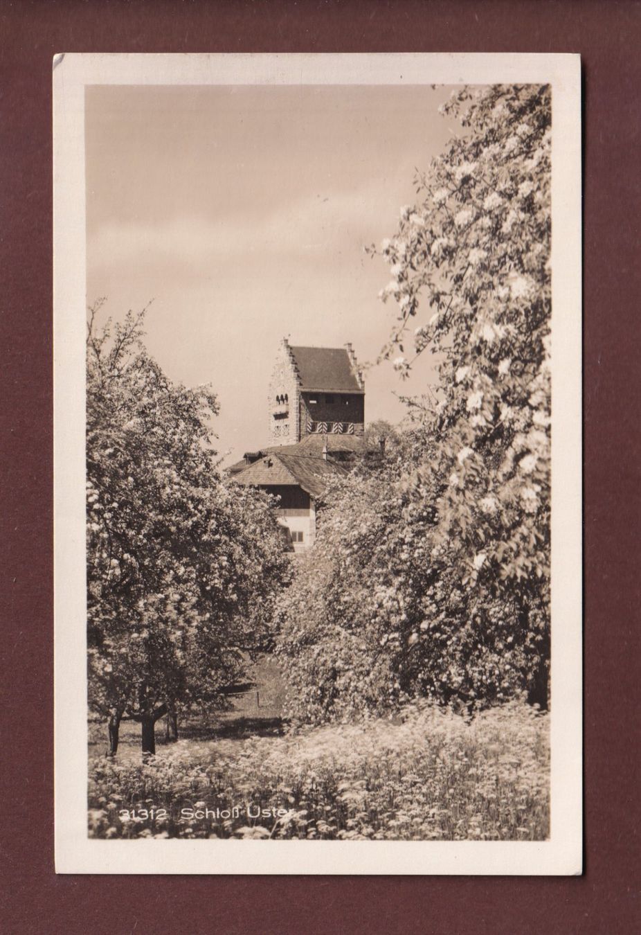 Cartoline postali: SCHLOSS USTER - 1928 – Usato da Pully venduto da nicecards
