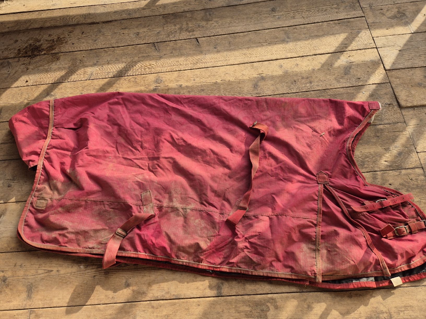Coperte: Imperial Riding Winterdecke 135 – Usato da Meggen venduto da Orrinka20 5