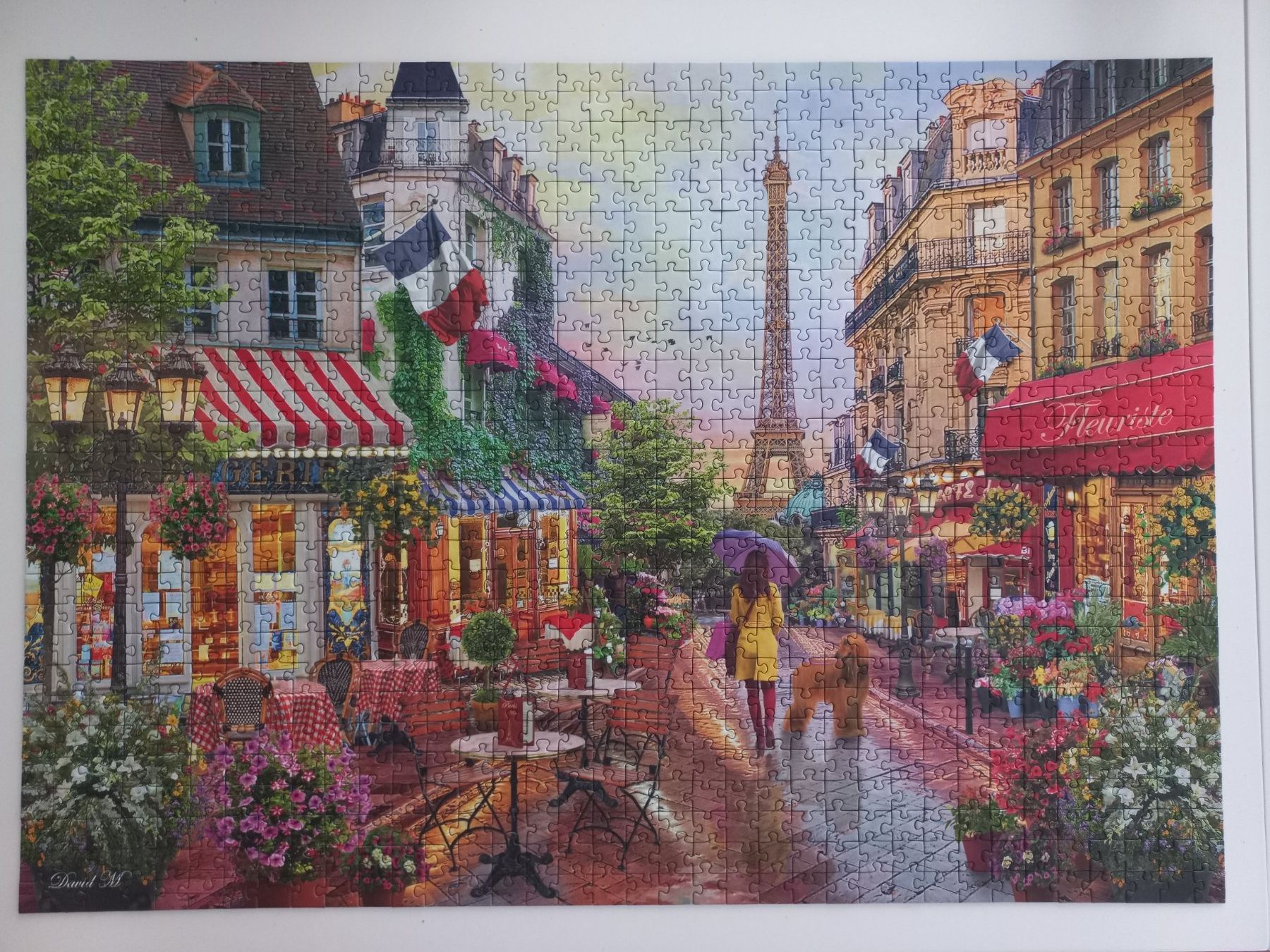 Puzzles: Cooles Puzzle Set 8x1000 Teile – Gebraucht aus Arbon von rispi89 7