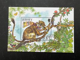 Jersey 2004 Chinese New Year Monkey Erstag  (A814)
