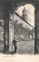 Morcote animata