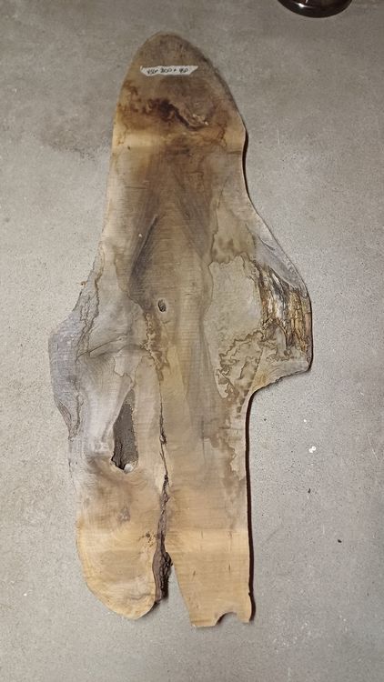 Articoli in legno: Nussbaumbrett – Nuovo (secondo la descrizione) da Embrach venduto da Olympia52 1
