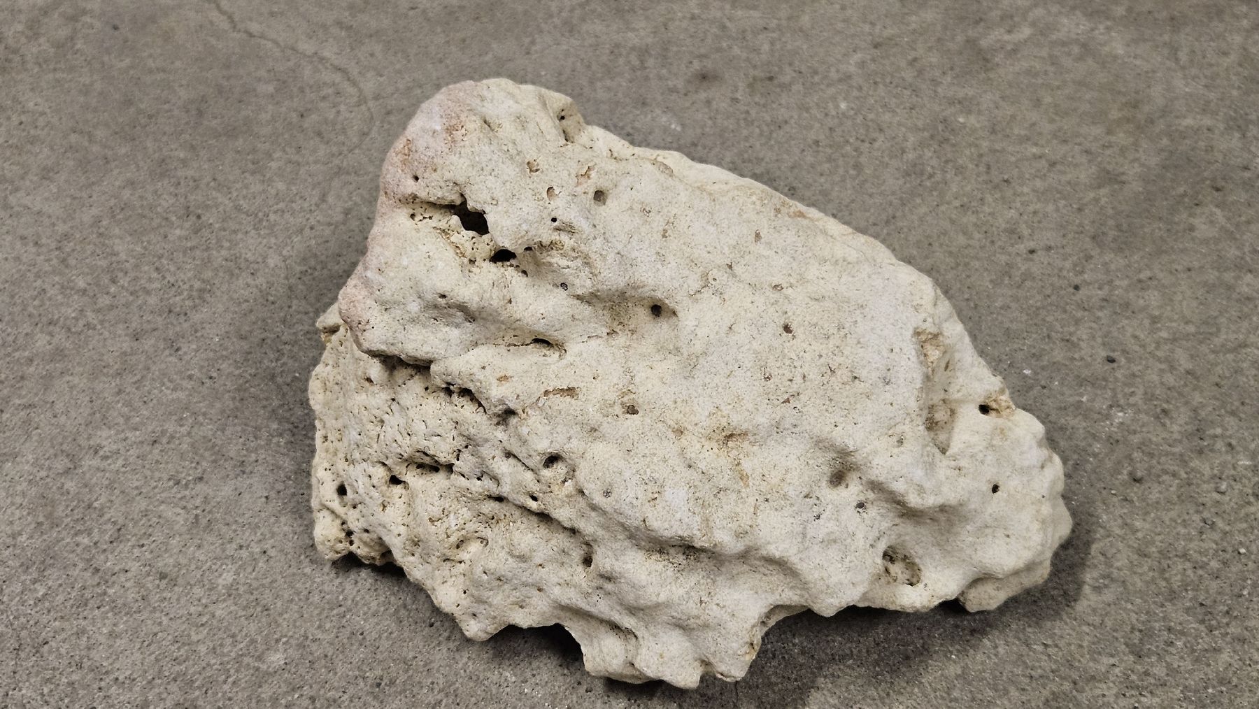 Acquari: Pierre calcaire aquarium 20kg – Nuovo (secondo la descrizione) da Avenches venduto da Chorizo02 6