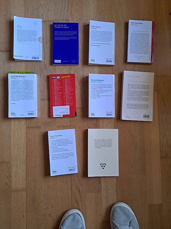 Bücher: Livres Francais gymnase – Gebraucht aus Puidoux von cha_t77k 1