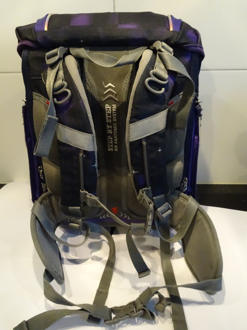 Step by Step Borse & Zaini: Schulrucksack Set Step by Step, guter Zustan, Mädchen – Usato da Obermumpf venduto da kaiko_2010 3