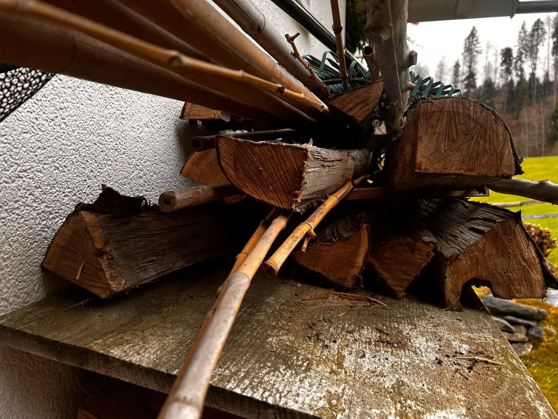 Articoli in legno: Rohlinge für Bogenbau – Nuovo (secondo la descrizione) da Wildberg venduto da Melramos04 2